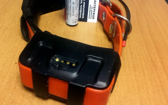 Изображение__0